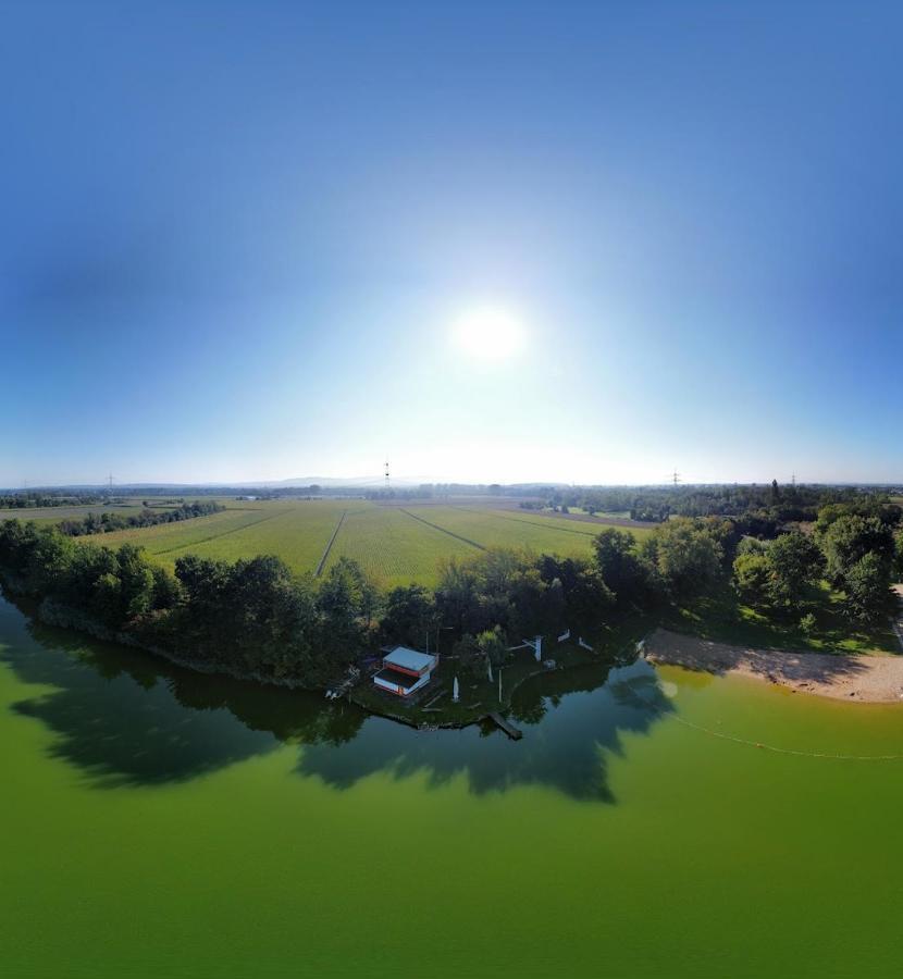 River View Near Frankfurt -- 3 Zimmer -- 4 Betten Und 1 Groesse Schlafcouch Hainburg Luaran gambar