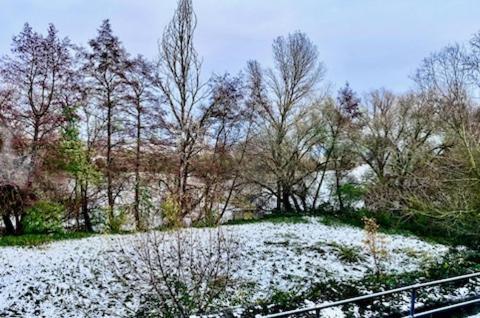 River View Near Frankfurt -- 3 Zimmer -- 4 Betten Und 1 Groesse Schlafcouch Hainburg Luaran gambar