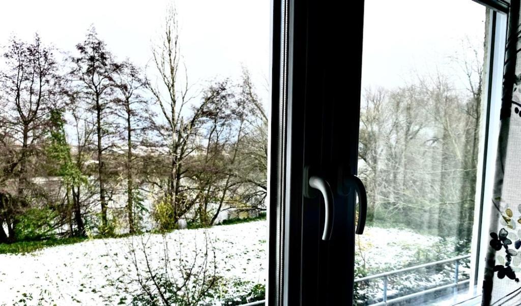River View Near Frankfurt -- 3 Zimmer -- 4 Betten Und 1 Groesse Schlafcouch Hainburg Luaran gambar